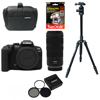 Beginner Wildlife Photography Canon EOS R10 Mirrorless Camera Kit Beginner Wildlife Photography Canon EOS R10 Mirrorless Camera Kit
